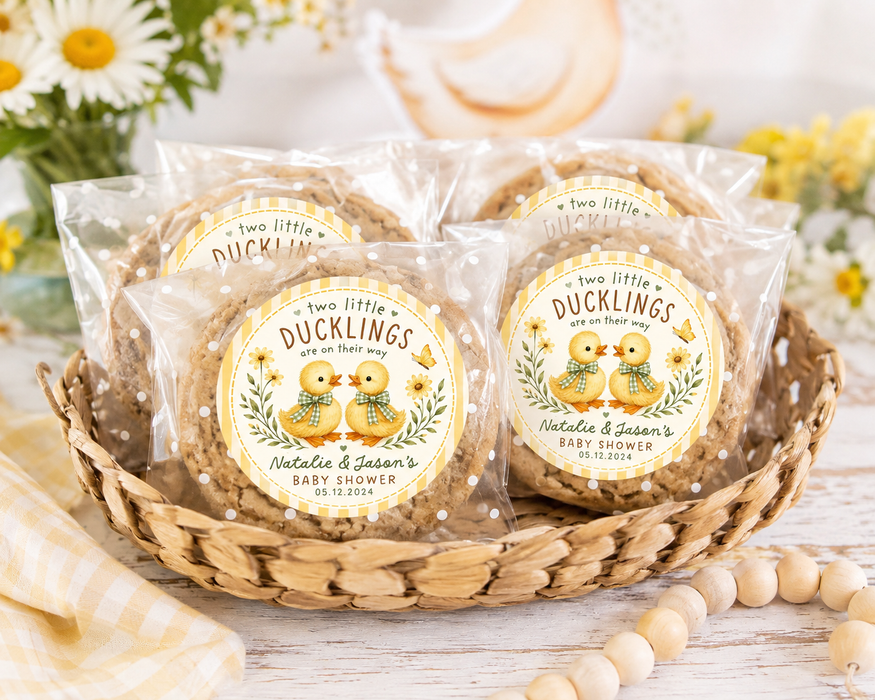 Two Little Ducklings Gingham Baby Shower Favor Stickers
