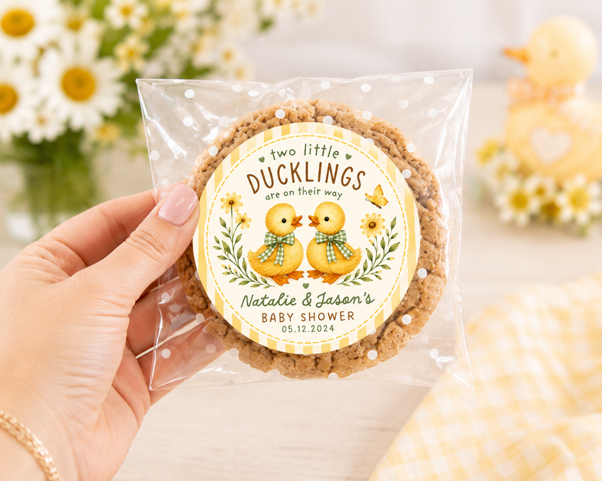 Two Little Ducklings Gingham Baby Shower Favor Stickers
