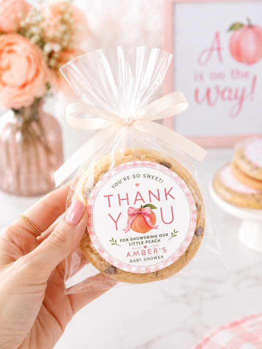 Pink Gingham Peach Baby Shower Stickers