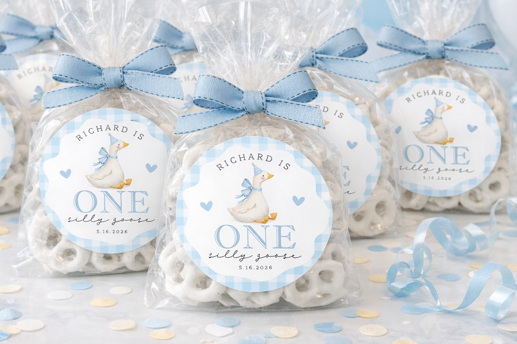 One Silly Goose Boy Birthday Stickers
