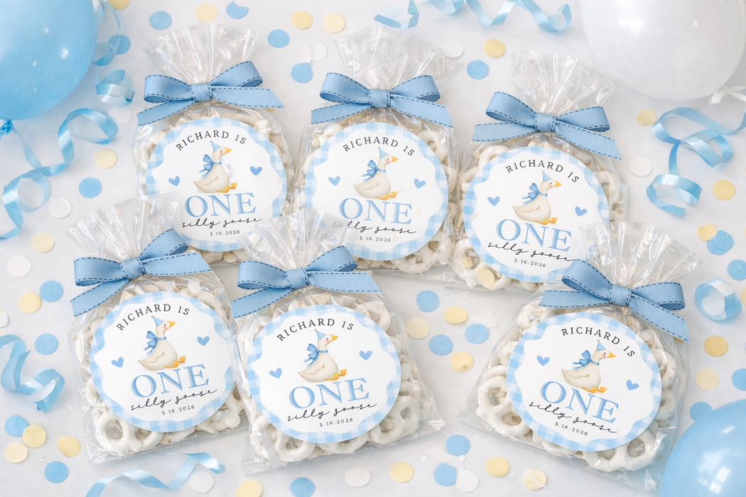 One Silly Goose Boy Birthday Stickers