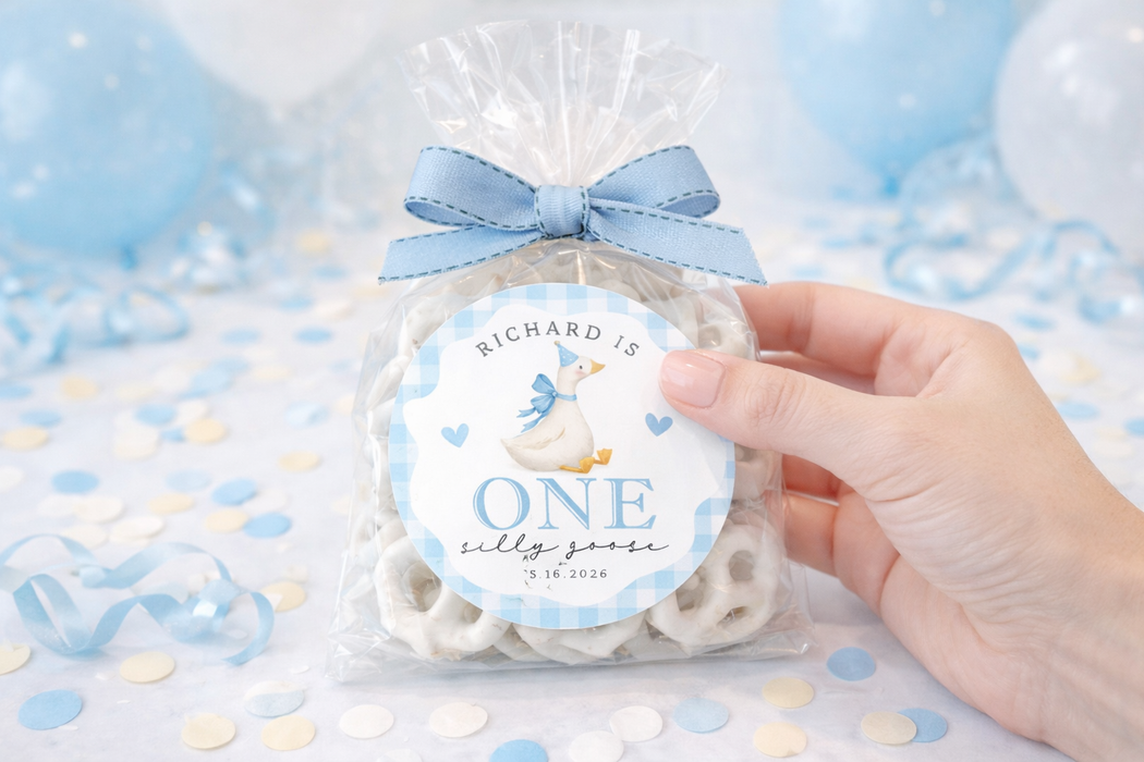 One Silly Goose Boy Birthday Stickers