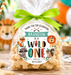A clear cellophane bag filled with star-shaped cookies, tied with a bright green ribbon and wrapped around with a custom printed party label that reads 'BRANDON IS A WILD ONE' with animal illustrations. The bag is photographed on a wooden table with party decorations, balloons, and snacks in the background.