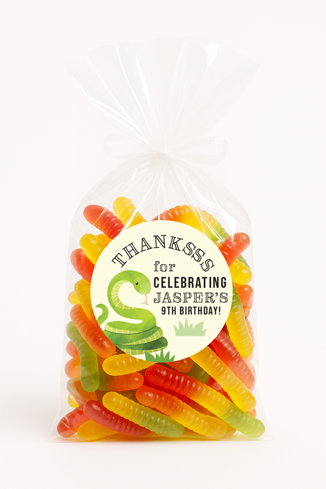 Snake Birthday Stickers for Reptile Party