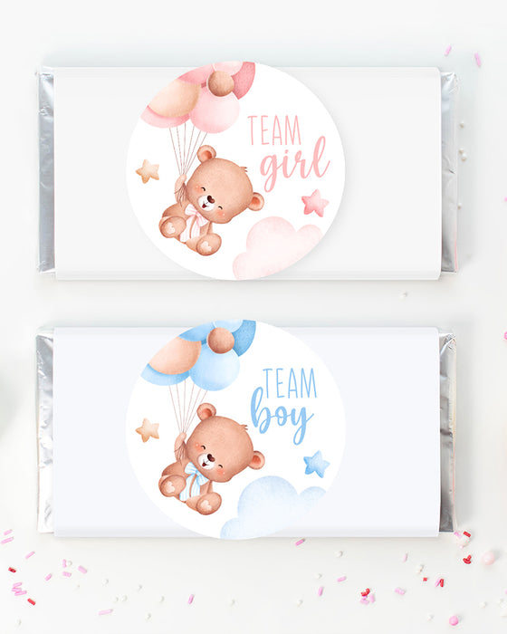Bear Baby Gender Reveal Stickers