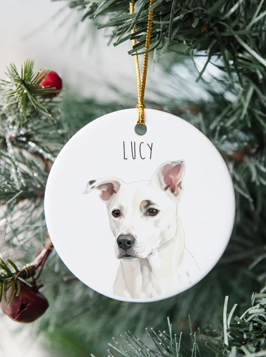 Watercolor Custom Pet Photo Christmas Ornament