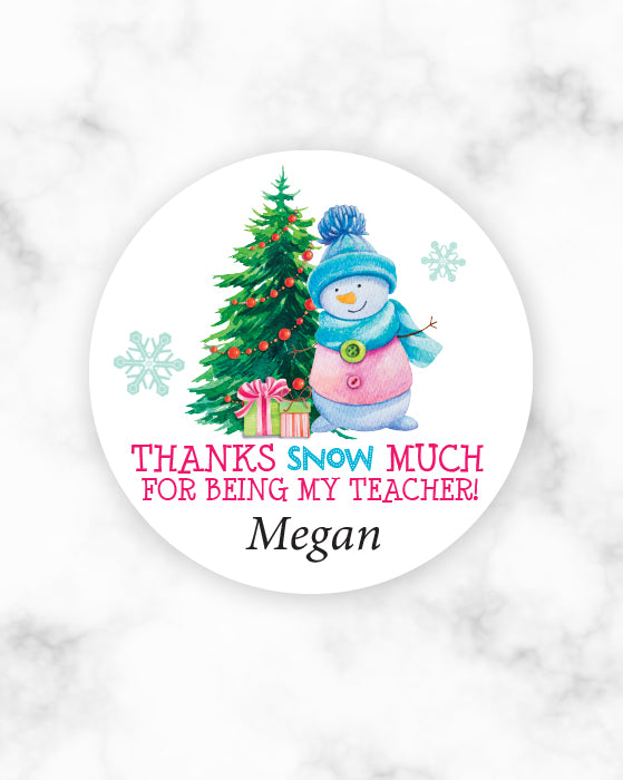 Thanks Snow Much Teacher Appreciation Christmas Stickers
